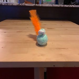 Meet your Posher, Steve